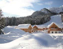 Comfy Chalet in Altaussee near Ski Area Dış Mekan