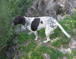 Cortijo La Fuensanta Dış Mekan