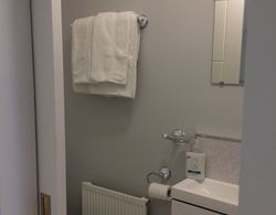 Cosy 1-bed Apartment in South Armagh Banyo Tipleri