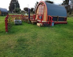 Cosy Glamping Pod Glamping in St Austell Cornwall Dış Mekan