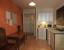 Cosy Rustic 1 Bedroom Apartment in Mala Strana Mutfak