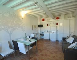 Cosy Apartment With Swimming Pool and Garden Close to Volterra and S Gimignano Oda Düzeni