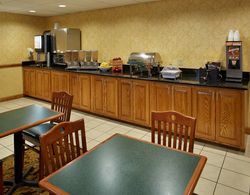 COUNTRY INN SUITES BY RADISSON COLUMBIA AIRPORT SC Genel