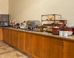 COUNTRY INN SUITES BY RADISSON CUYAHOGA FALLS OH Genel