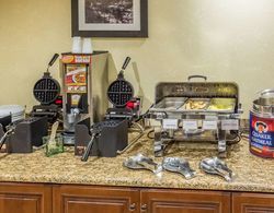 Country Inn & Suites by Radisson, Knoxville at Ced Genel