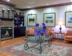 Country Inn & Suites by Radisson, Petersburg, VA Genel
