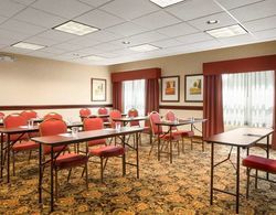 COUNTRY INN SUITES BY RADISSON TOLEDO SOUTH OH Genel