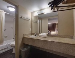 Countryside Inn & Suites Orlando Banyo Tipleri