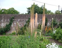 Courtlands Nurseries B&B Dış Mekan