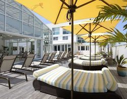 Courtyard by Marriott Ocean City Oceanfront Genel