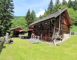 Cozy and Traditional Chalet jn Obervellach at the Alpine Meadows Dış Mekan