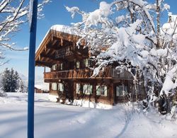 Cozy Chalet in Sankt Johann in Tirol near Ski Area Dış Mekan