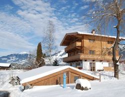 Cozy Chalet near Ski Area in Kitzbuhel Dış Mekan