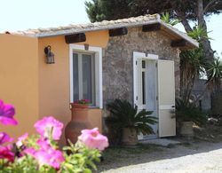 Cozy Cottage in Calasetta Sardinia With Garden Dış Mekan