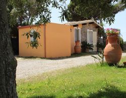 Cozy Cottage in Calasetta Sardinia With Garden İç Mekan