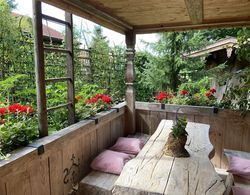 Cozy Eco Friendly Chalet with Countless Extras near Lake in Asten Oda Düzeni