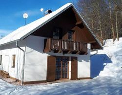 Cozy Holiday Home near Ski Area in Javorník Dış Mekan
