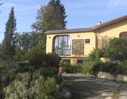 Cozy Holiday Home With Swimming Pool in Tuscany Dış Mekan