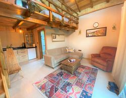 Cozy House Surrounded by Nature in Agva Oda