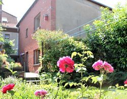 Cozy Apartment in Klütz Germany With a Lovely Garden İç Mekan