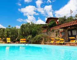 Cozy Apartment in Tuscan Farmhouse With Pool and spa Dış Mekan