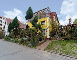 Cozy Apartment in Wismar Mecklenburg With Garden Dış Mekan
