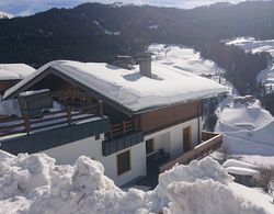 Cozy Apartment near Ski Area in Großarl Dış Mekan