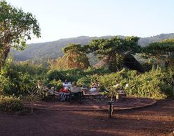 Crater Forest Tented Camp Dış Mekan