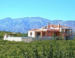 Cretan Vineyard Hill Villa Private Pool, Panoramic View, Beautiful Vineyard Dış Mekan