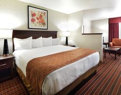 Crystal Inn Hotel & Suites Salt Lake City - Downtown Genel