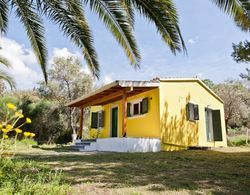 Cute Yellow Handmade House With Garden Öne Çıkan Resim