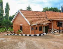 Cycad Entebbe Guest House Dış Mekan