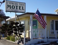 Cypress Tree Motel Öne Çıkan Resim