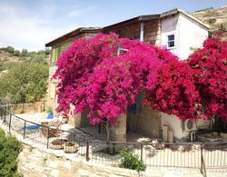 Cyprus Villages Dış Mekan