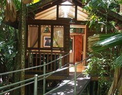 Daintree Wilderness Lodge Genel