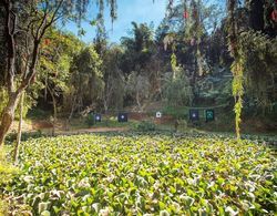 Dalat Edensee Lake Resort & Spa Genel