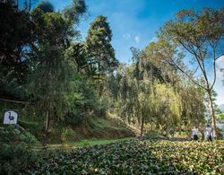 Dalat Edensee Lake Resort & Spa Genel