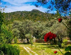 Datca Moria Tatil Evleri Bungalov Genel