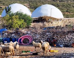 Dav Mahal Eco Lodge Dış Mekan