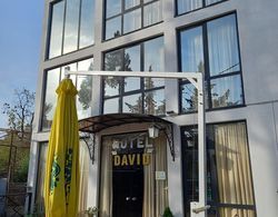 Hotel David Dış Mekan