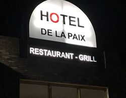 Hotel de la Paix Lyon Sud Givors Dış Mekan
