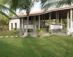 De Silva Palm Resort Genel