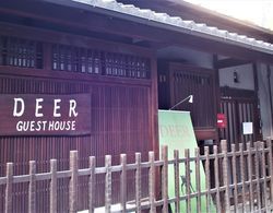 Deer Guesthouse - Hostel Dış Mekan