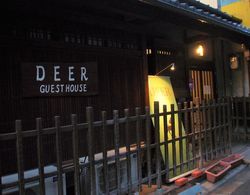Deer Guesthouse - Hostel Dış Mekan