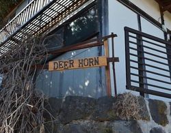 Deerhorn - Hostel Dış Mekan