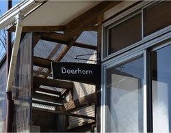 Deerhorn - Hostel Dış Mekan