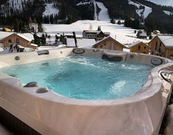 Deluxe Holiday Home in Hohentauern with Hot Tub Spa