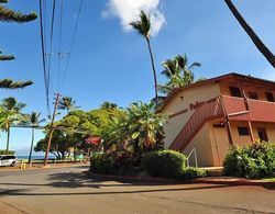Deluxe Honokowi Palms Maui Condos Dış Mekan