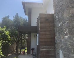 Demirci Villa Torba Dış Mekan