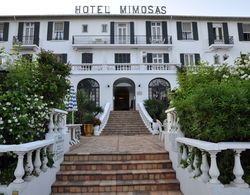 Hôtel des Mimosas Genel